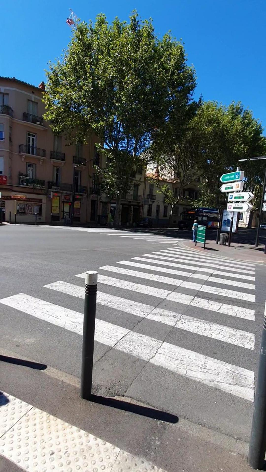 Sejour Perpignan Avec Petit-Dejeuner A La Demande Et Piscine A 20 Minutes De L'Espagne A Le Palace Climatise Buitenkant foto